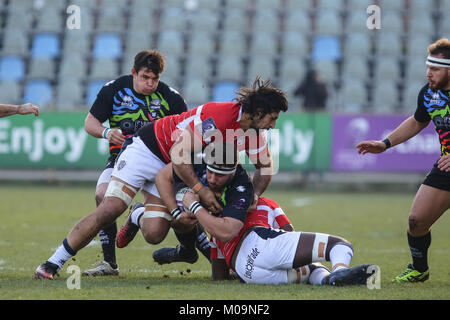 Parme, Italie. 20 Jan, 2018. La Zèbre prop Eduardo Bello essaie de garder le ballon après un plaquage dans le match contre Agen en Challenge Cup 2017/18 incident enregistrées. Credit : Massimiliano Carnabuci/Alamy Live News Banque D'Images