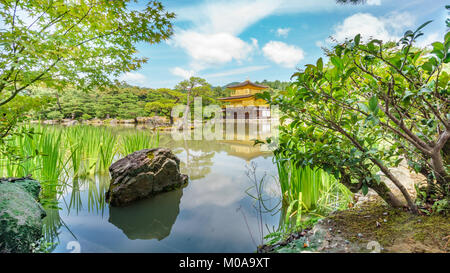 Le JAPON, KYOTO- 7 juin 2015 : Temple Kinkakuji (Pavillon d'or) derrière les arbres, la célèbre temple bouddhiste Zen à Kyoto, Japon Banque D'Images