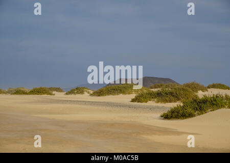Plage Playa Vista Lobos, Corralejo, Fuerteventura, Espagne Banque D'Images
