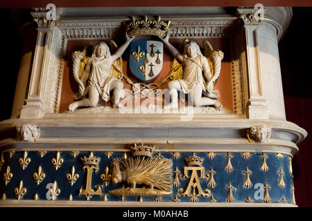 Harde de emblemof la maison d'Orléans. Château de Blois, Loire, France Banque D'Images