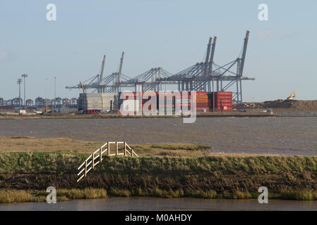 DP World London Gateway terminal à conteneurs en eau profonde vue de la Réserve Naturelle du quai de Stanford à Thurrock, Essex. Banque D'Images