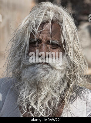 Baba vieux avec des cheveux blancs et barbe, Pushkar, Rajasthan, India Banque D'Images