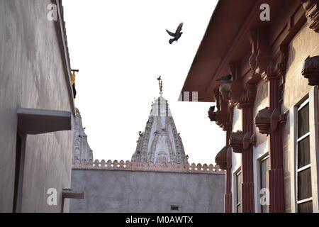 Détail de Bhandasar Jain temple dans Bikaner, Rajasthan - Inde Banque D'Images