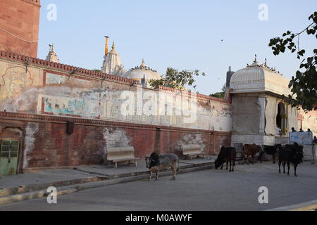 Décoration Nice mur à l'extérieur de Bhandasar Jain temple dans Bikaner, Rajasthan - Inde Banque D'Images