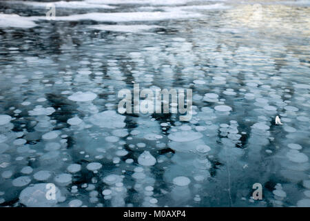 Le Lac Abraham avec bulles de méthane gelé Banque D'Images