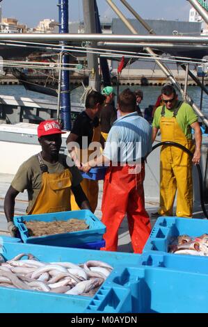 Les pêcheurs décharger leurs prises dans l'Amettla de Mar, Espagne Banque D'Images