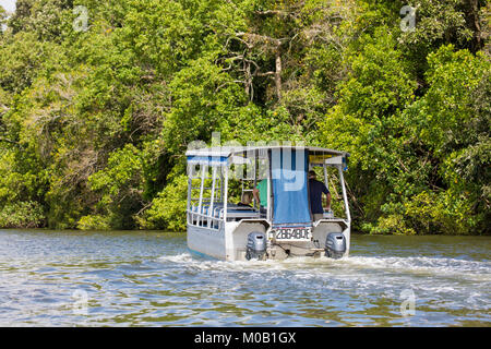 Bateau de croisière sur la Daintree River à la recherche de la faune et de crocodiles, parc national de Daintree, Far North Queensland, Australie Banque D'Images