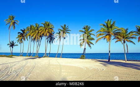 Plage tropicale avec palmiers de Punta Cana Banque D'Images