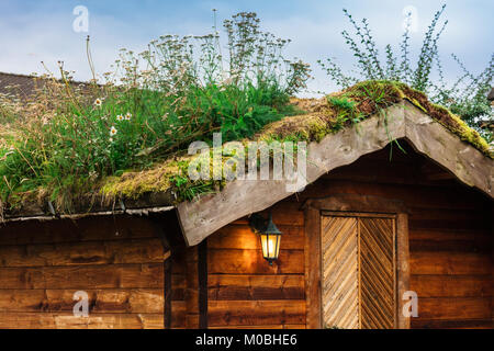 Maisons traditionnelle norvégienne avec un toit de gazon. Banque D'Images