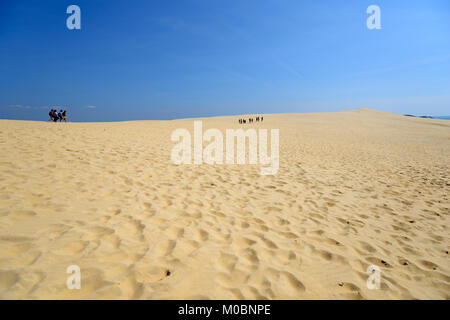 Pilat, France - 27 juin 2013 : les gens marcher sur la dune du Pilat. Cette dune est la plus grande en Europe, et il pousse encore Banque D'Images