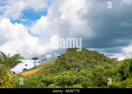 Vue de paysages de montagne avec araucaria arbre sur l'arrière-plan Banque D'Images