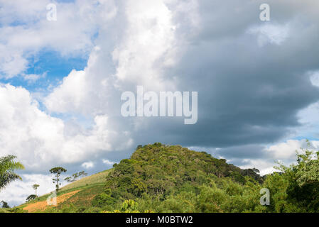 Vue de paysages de montagne avec araucaria arbre sur l'arrière-plan Banque D'Images