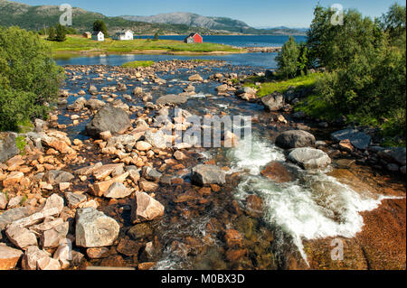 Creek qui s'écoule dans la mer à Lofoten, dans le nord de la Norvège en été. Banque D'Images