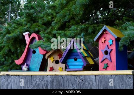 Peint aux couleurs vives des birdhouses assis dans une rangée, sous un sapin vert. Banque D'Images