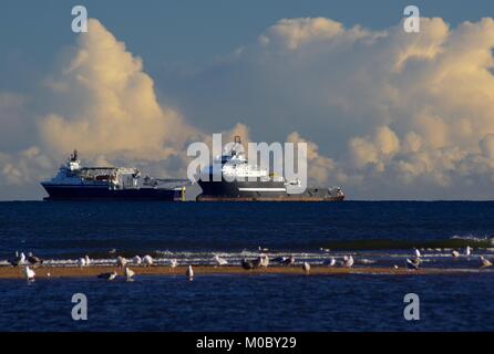 Les navires de soutien d'huile mouillée au large. Premier Plan Barre de sable et les mouettes, Mer du Nord, la plage d''Aberdeen, Écosse, Royaume-Uni. Banque D'Images