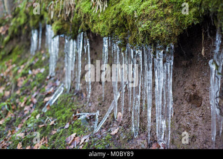 Formation de givre sous touffe de mousse Banque D'Images