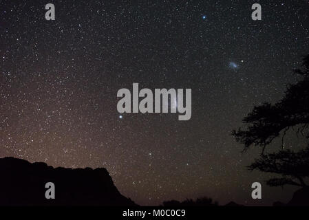 Nuages de Magellan astro ciel étoilé, Namibiens, nuit d'Afrique. Acacia arbres au premier plan. Aventure dans la nature. Banque D'Images