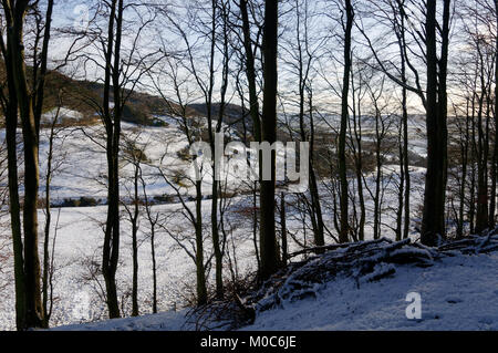 En hiver 2018 Kinnoull Hill, Perth, Ecosse Banque D'Images