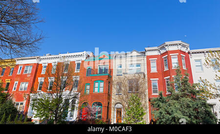 Maisons colorées avant le coucher du soleil au printemps, Washington DC, USA. Maisons de briques historique dans la région de Shaw, dans une rue calme avec des arbres. Banque D'Images