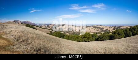 Randonnée pédestre dans la région de Morgan Territoire Regional Preserve, Walnut Creek, comté de Contra Costa, East Bay, Californie, Highland Ridge de piste voir Mount Diablo. Banque D'Images