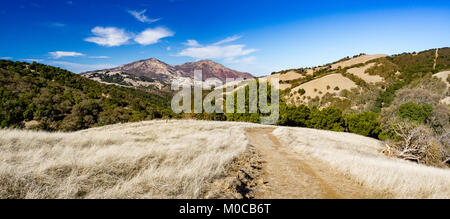 Randonnée pédestre dans la région de Morgan Territoire Regional Preserve, Walnut Creek, comté de Contra Costa, East Bay, Californie, Highland Ridge de piste voir Mount Diablo. Banque D'Images