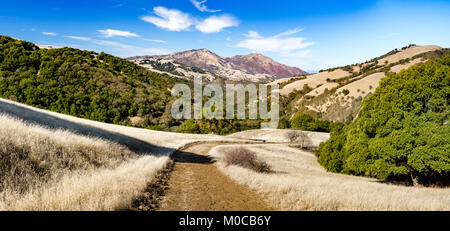 Randonnée pédestre dans la région de Morgan Territoire Regional Preserve, Walnut Creek, comté de Contra Costa, East Bay, Californie, Highland Ridge de piste voir Mount Diablo. Banque D'Images