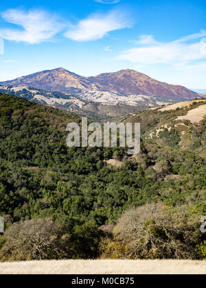 Randonnée pédestre dans la région de Morgan Territoire Regional Preserve, Walnut Creek, comté de Contra Costa, East Bay, Californie, Highland Ridge de piste voir Mount Diablo. Banque D'Images