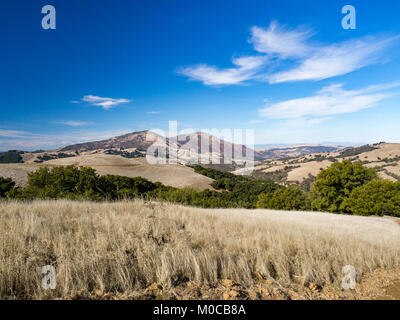 Randonnée pédestre dans la région de Morgan Territoire Regional Preserve, Walnut Creek, comté de Contra Costa, East Bay, Californie, Highland Ridge de piste voir Mount Diablo. Banque D'Images