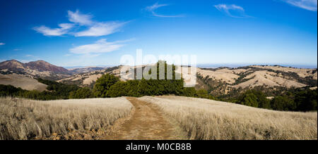 Randonnée pédestre dans la région de Morgan Territoire Regional Preserve, Walnut Creek, comté de Contra Costa, East Bay, Californie, Highland Ridge de piste voir Mount Diablo. Banque D'Images