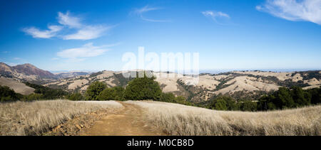 Randonnée pédestre dans la région de Morgan Territoire Regional Preserve, Walnut Creek, comté de Contra Costa, East Bay, Californie, Highland Ridge de piste voir Mount Diablo. Banque D'Images