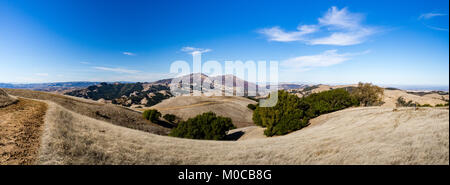 Randonnée pédestre dans la région de Morgan Territoire Regional Preserve, Walnut Creek, comté de Contra Costa, East Bay, Californie, Highland Ridge de piste voir Mount Diablo. Banque D'Images