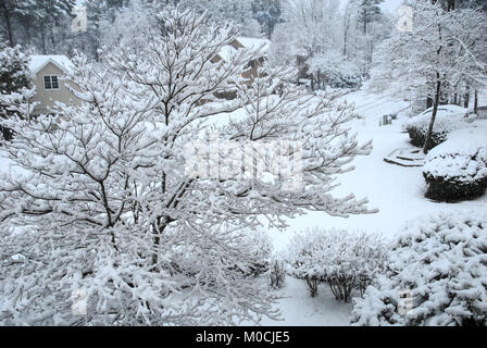 Une nouvelle couche de neige crée une féérie hivernale dans un quartier d'Atlanta, en Géorgie. (USA) Banque D'Images