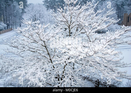 Une belle couverture de neige couvre un voisinage dans la région métropolitaine d'Atlanta, Géorgie. (USA) Banque D'Images