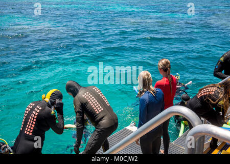 Grande Barrière de Corail, les gens se préparent à faire de la plongée avec tuba et de la plongée au large de l'arrière d'un bateau de tourisme,Queensland, Australie Banque D'Images