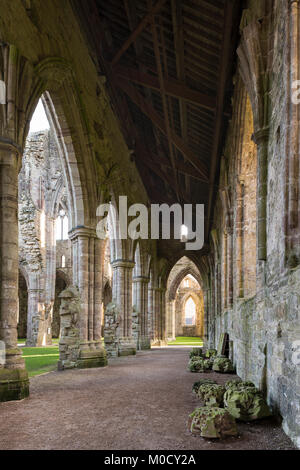 Abbaye de Tintern en plein soleil d'hiver Banque D'Images