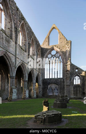 Abbaye de Tintern en plein soleil d'hiver Banque D'Images