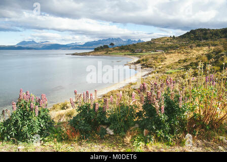 Vue sur le canal de Beagle dans le Parc National de la Terre de Feu à Ushuaia, Argentine Banque D'Images