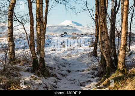 Ben Ledi en hiver, Écosse, Royaume-Uni - vu de Flanders Moss, Carse of Stirling, Écosse, Royaume-Uni Banque D'Images