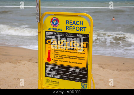 Surf Life Saving Queensland beach rapport sur Palm Cove beach tropical en far north Queensland, Australie Banque D'Images