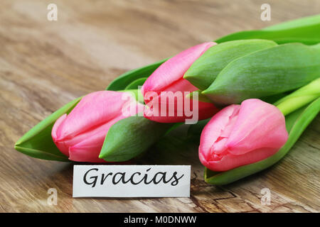 Gracias (merci en espagnol) Carte avec trois tulipes roses Banque D'Images