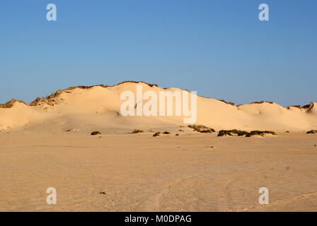 Dunes près de Douz, désert du Sahara, Kébili, Tunisie district Banque D'Images