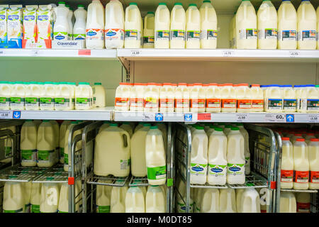 Les supermarchés de divers types de lait et produits laitiers Banque D'Images