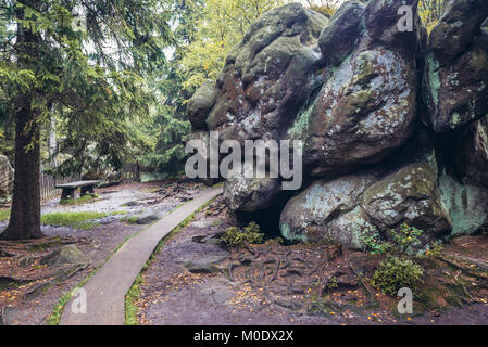 Sentier de marche sur Szczeliniec Wielki, le plus haut sommet des montagnes Stolowe (Montagnes de Table), une partie de la gamme des Sudètes, région de Basse Silésie, Pologne Banque D'Images