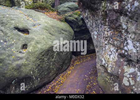 Sentier de marche sur Szczeliniec Wielki, le plus haut sommet des montagnes Stolowe (Montagnes de Table), une partie de la gamme des Sudètes, région de Basse Silésie, Pologne Banque D'Images