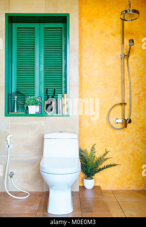 Photos de l'intérieur d'une salle de bains moderne au premier plan la douche avec sol en béton et de la cuvette des toilettes Banque D'Images