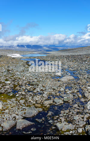 Jotunheimen région géothermique en Norvège Banque D'Images