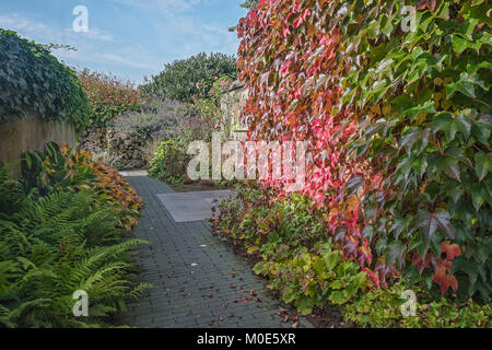Sentier à travers le jardin de belles couleurs d'automne Banque D'Images
