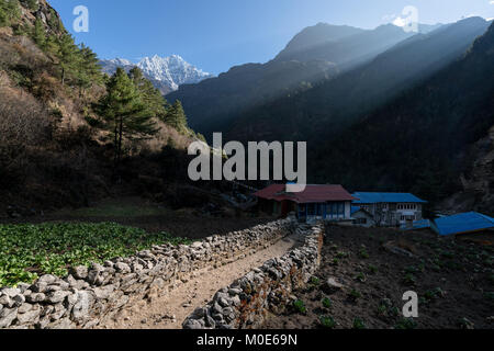 Matin dans la vallée du Khumbu, Népal Banque D'Images