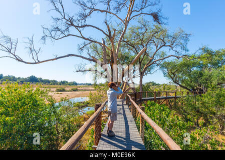 Les touristes à la recherche du panorama avec des jumelles à partir de point de vue sur la rivière Olifants, scenic et paysage coloré avec la faune dans le parc national Kruger Banque D'Images