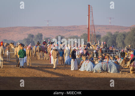 Ras Al Khaimah, Ras Al Khaimah, Émirats arabes unis. 19 Jan, 2018. Les gestionnaires et propriétaires d'attente à la barrière de départ pour la course de chameaux pour commencer.Les courses de chameaux sont organisées chaque semaine au Al Sawan piste de course. Au cours de ces courses les chameaux utiliser robot jockeys. Crédit : Mike Hook/SOPA/ZUMA/Alamy Fil Live News Banque D'Images